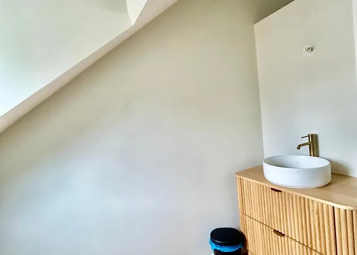 Les Hirondelles De 別荘 *